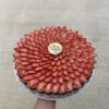 Pavlova 12"