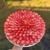 Pavlova 12"