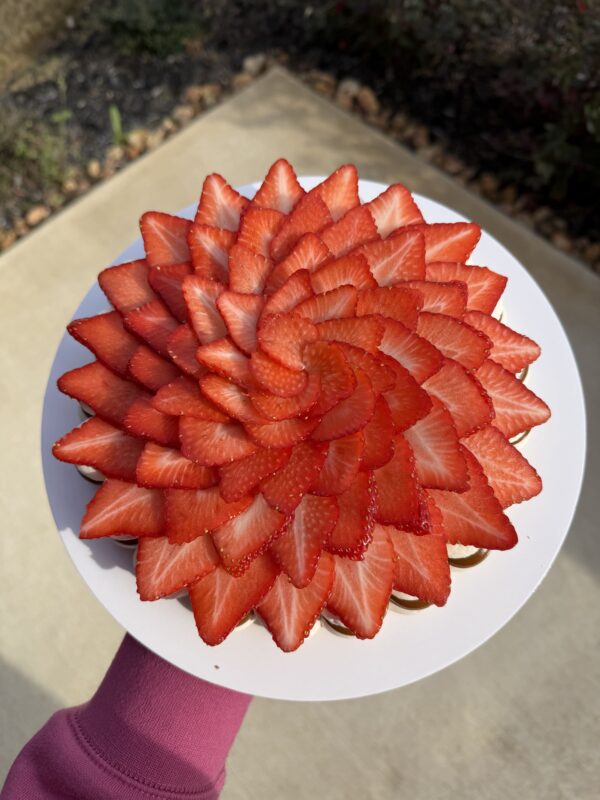 Pavlova 8"