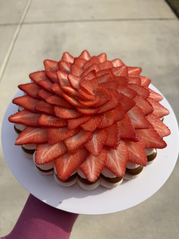 Pavlova 8"