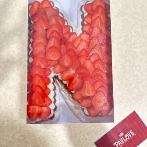 Pavlova Lyrics (Letras)