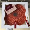 Pavlova 14"
