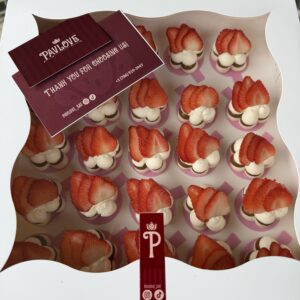 PRESENTACION MINI BITES MINI BITES